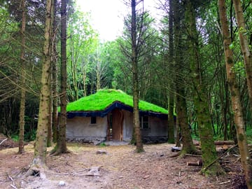 Nestled in the woods