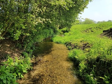 Idylic location