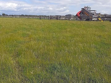 Well-maintained and even ground
