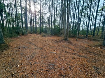 Camping area