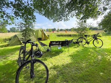Pitch under trees in the Chateau Garden