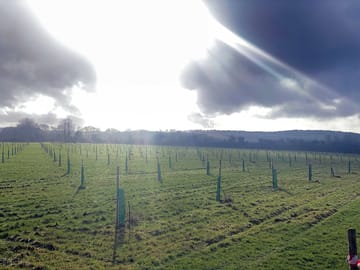 Early spring on site