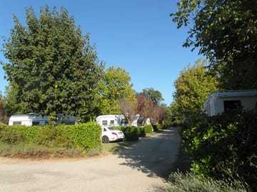 Grass pitches with shade from the trees