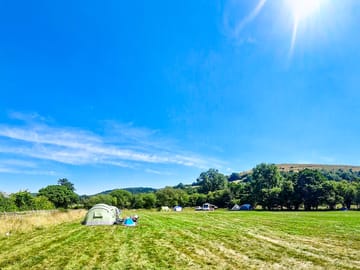 Pitches on site