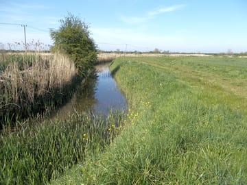 Farm walk