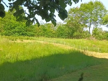 Grass and earth pitches