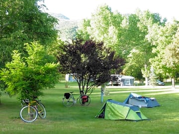 Grassy pitches with trees