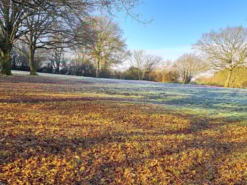 Non-electric pitches in autumn