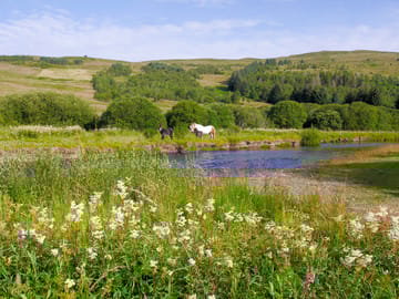 View from the site