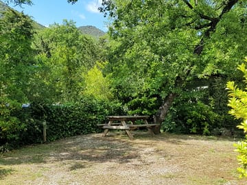 Pitches surrounded by greenery