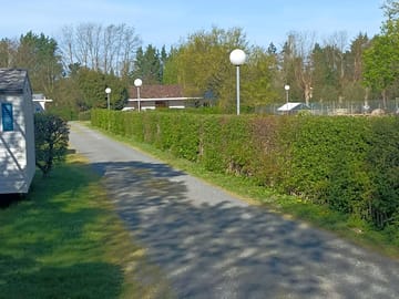 Around the site