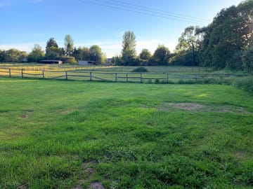 Grassy fields
