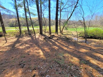 Tent sites 2 and 3