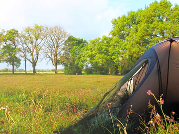 Pitch your tent in the field and relax