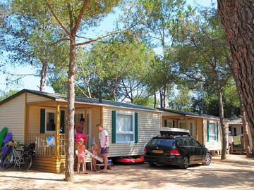 Caravans in the woods