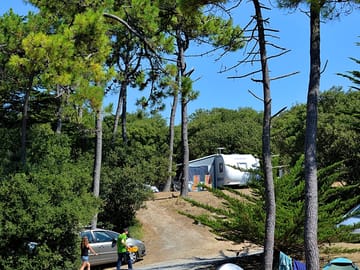Sunny days at the site