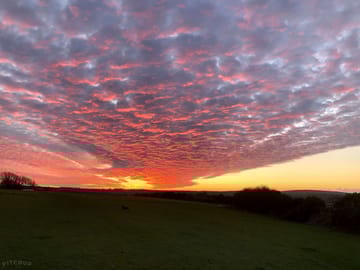 Gorgeous skies
