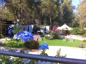 The bar and restaurant area