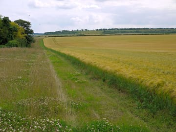 Adjoining fields