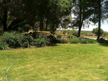Grassy pitches