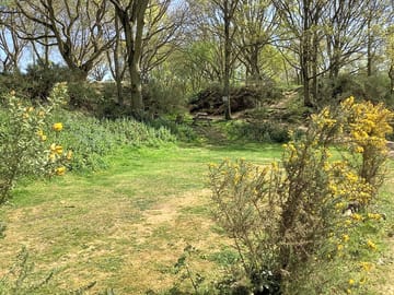 Camper's Glade pitch with picnic table