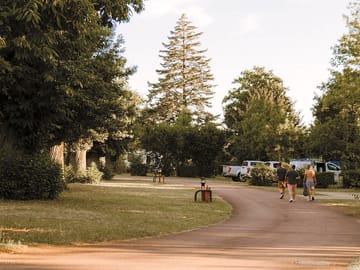 Around the site