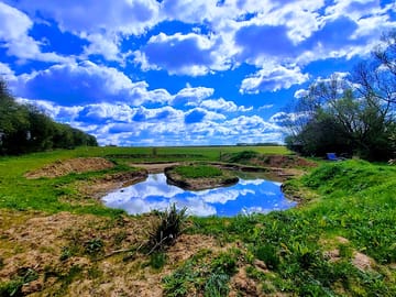 View of the pond