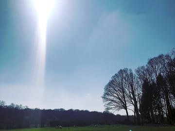 Sunny days on site