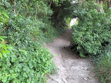 Walkway beside the site ideal for walking
