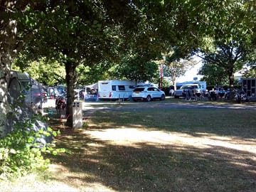 The site