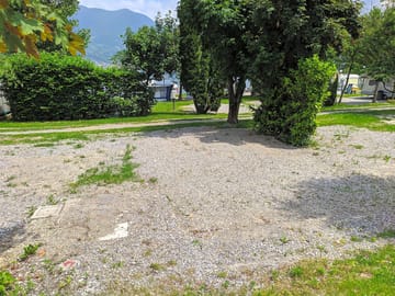 Tree-lined pitches