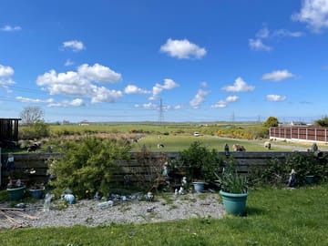 View from the garden
