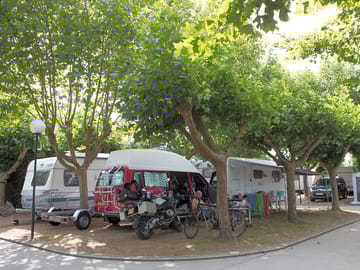 Pitches shaded by trees