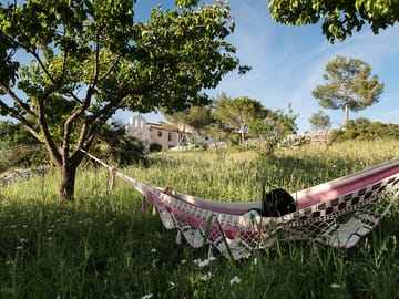 Unwind in one of the hammocks dotted around the site