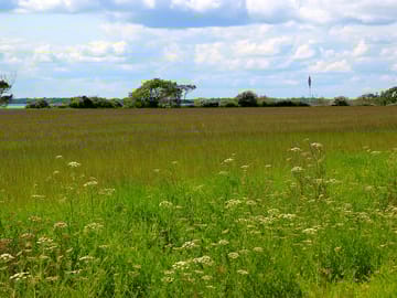 Camping field before it was cut for hay