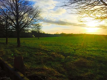 Sunset over the site