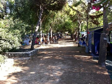 View of the pitches