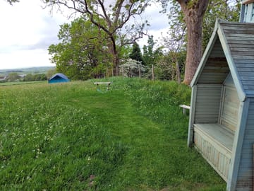 Grass pitch
