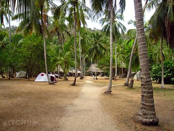 Paths through the site