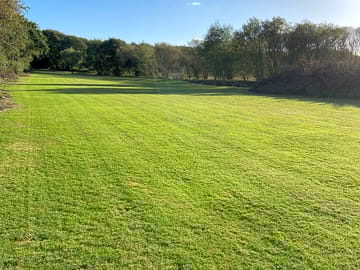 Spacious field for activities and games