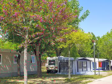 View of the site