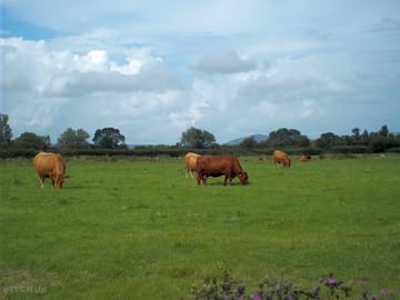 Farming