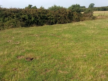 Grass pitches