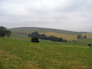 View from the tent