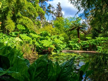 The lost gardens heligan, 20 minutes' drive away