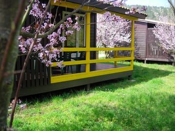Many colours around the lodge