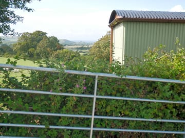 Plenty of greenery