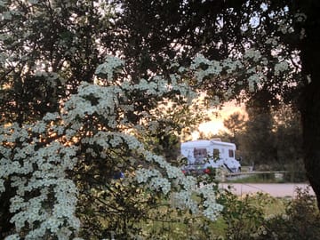 Site in spring