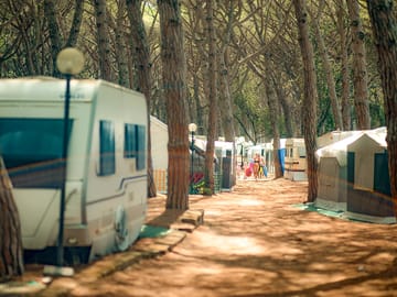 The caravan pitches