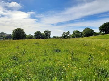 Grassy pitches before they have been trimmed